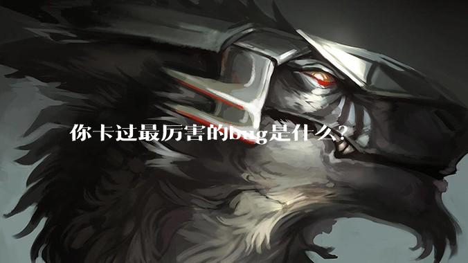 你卡过最厉害的bug是什么？